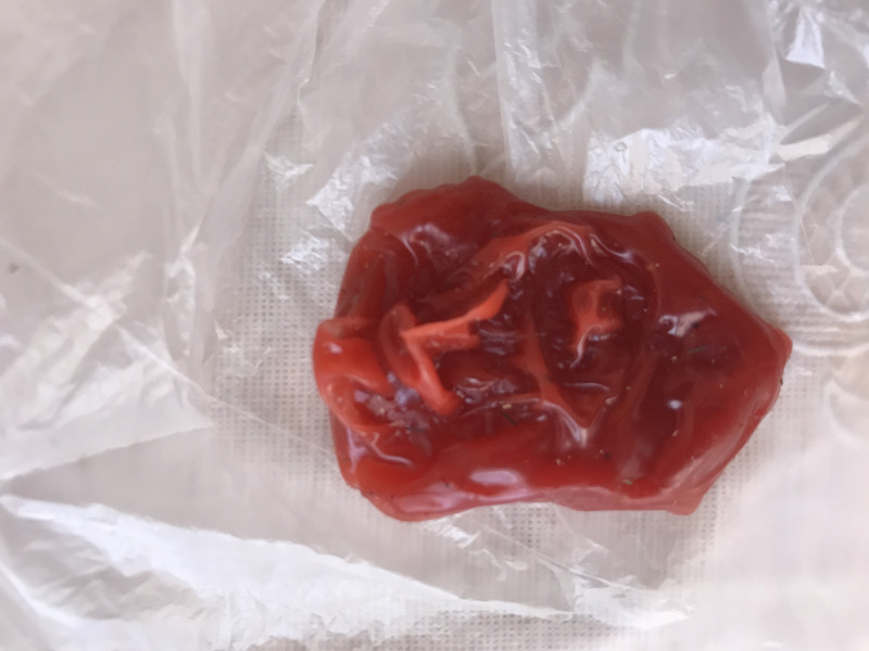 3. низ отливка мамы