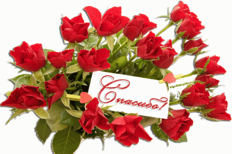Irina7777777 - spasibo-vam-vip-otkrytki.ru_.gif.pagespeed.ce.2oiau8lXhJ.gif