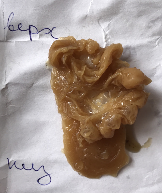 ОТЛИВКИ ВОСКОМ - 5D326B40-7157-459D-BDE3-B7E4B630562B.jpeg