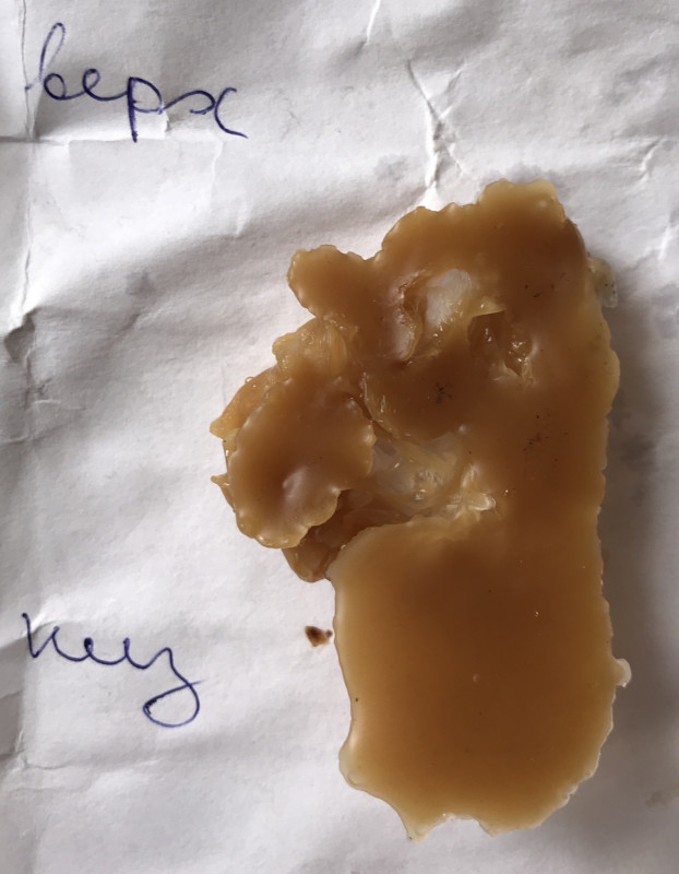 ОТЛИВКИ ВОСКОМ - F56483C7-4BFE-449F-9E58-6ABDFF0700C2.jpeg