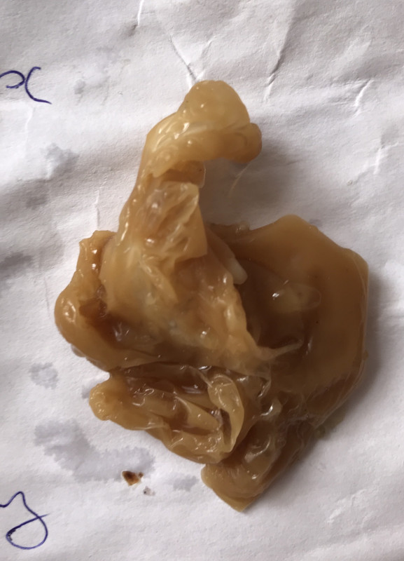 ОТЛИВКИ ВОСКОМ - 0296738F-C68C-4C18-96B3-4B6835084ECC.jpeg