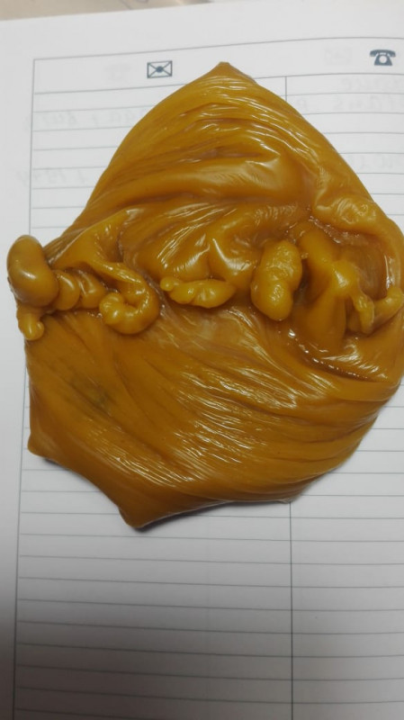 ОТЛИВКИ ВОСКОМ - марди.0206.jpg