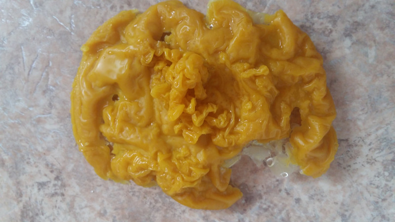 ОТЛИВКИ ВОСКОМ - 20180616_162501.jpg