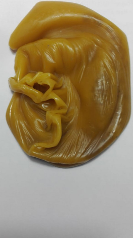 ОТЛИВКИ ВОСКОМ - вит21062.jpg