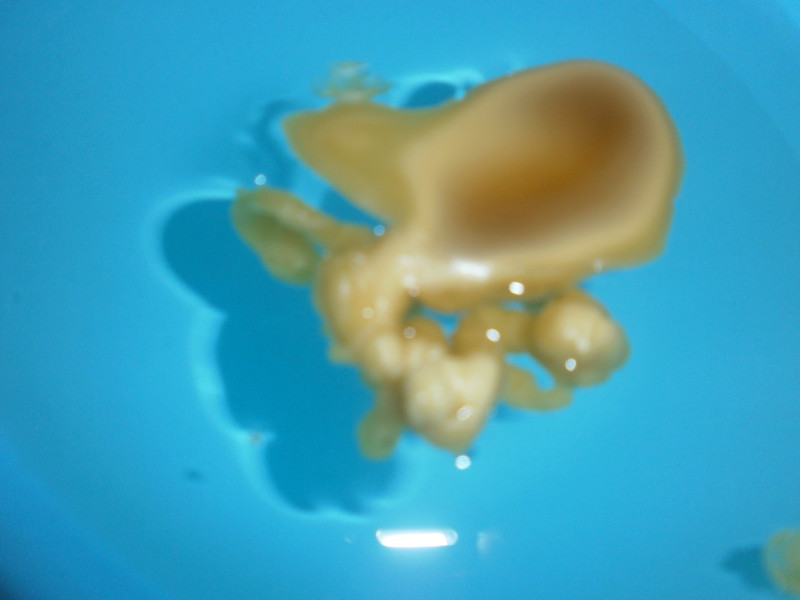 ОТЛИВКИ ВОСКОМ - P6241438.JPG