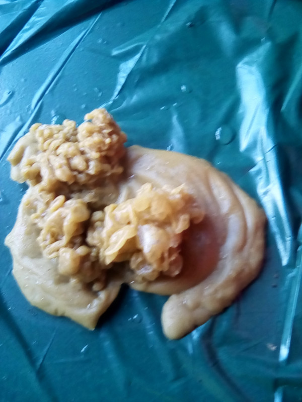 ОТЛИВКИ ВОСКОМ - IMG_20180723_145301.jpg