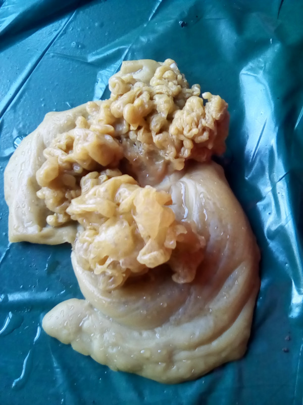 ОТЛИВКИ ВОСКОМ - IMG_20180723_145252.jpg