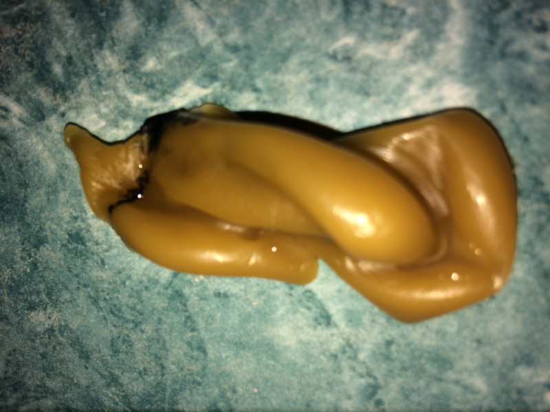 ОТЛИВКИ ВОСКОМ - IMG_7066.JPG