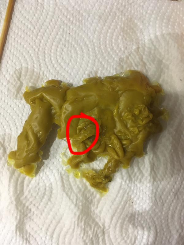 ОТЛИВКИ ВОСКОМ - 48C12E7F-175A-49A5-BFCF-6735710D858E.png