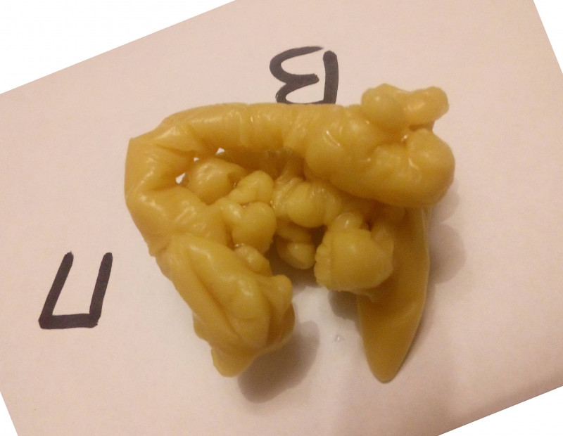 ОТЛИВКИ ВОСКОМ - IMG_20181002_233236.jpg