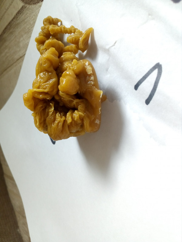 ОТЛИВКИ ВОСКОМ - IMG_20181003_143051.jpg