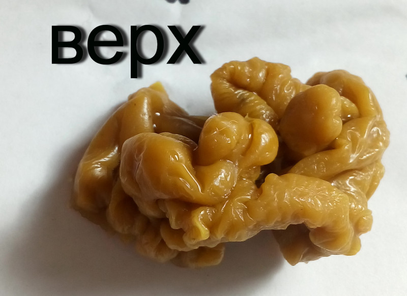 ОТЛИВКИ ВОСКОМ - IMG_20181003_143348.jpg