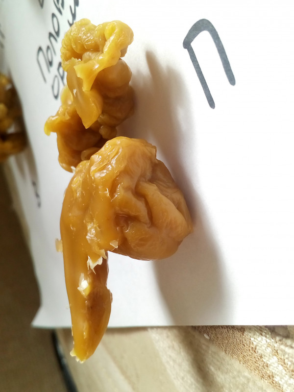 ОТЛИВКИ ВОСКОМ - IMG_20181003_143657.jpg