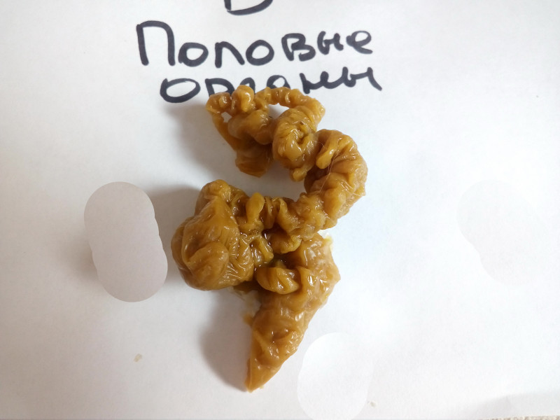 ОТЛИВКИ ВОСКОМ - IMG_20181003_143807.jpg