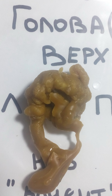 ОТЛИВКИ ВОСКОМ - IMG_20181003_233442.jpg