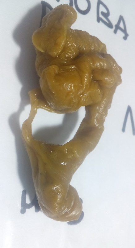 ОТЛИВКИ ВОСКОМ - IMG_20181003_233716.jpg