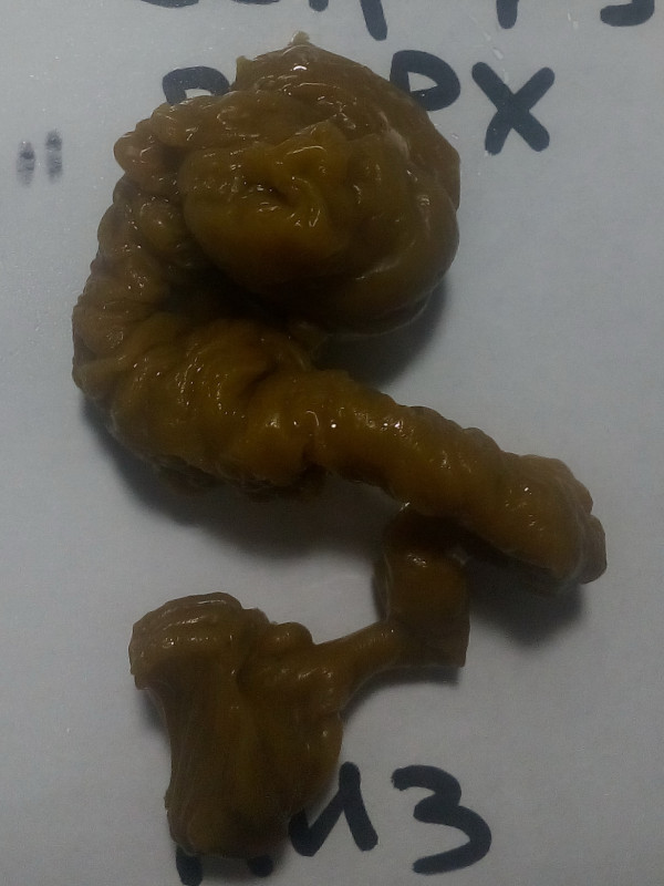 ОТЛИВКИ ВОСКОМ - IMG_20181003_233935.jpg