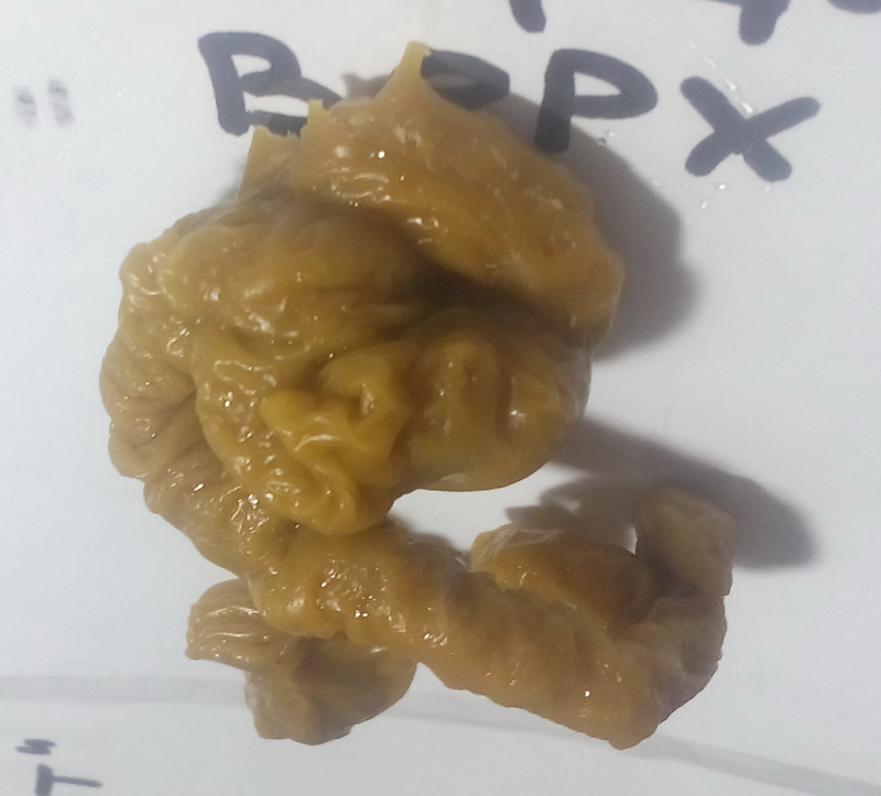 ОТЛИВКИ ВОСКОМ - IMG_20181003_234000.jpg