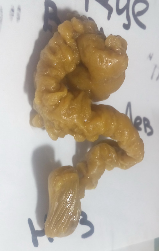 ОТЛИВКИ ВОСКОМ - IMG_20181003_234018.jpg