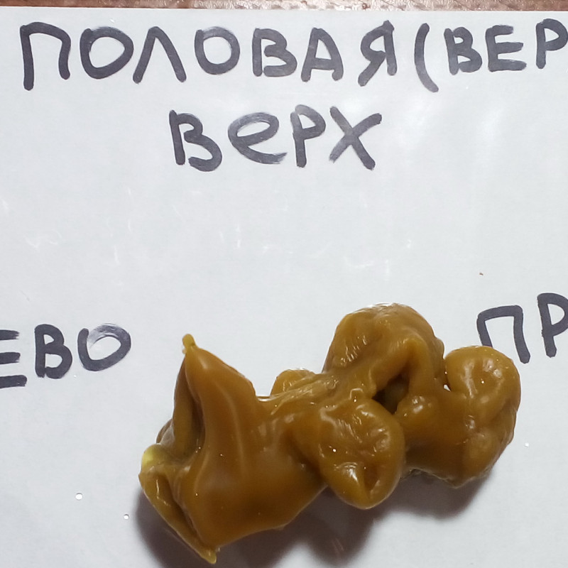 ОТЛИВКИ ВОСКОМ - IMG_20181003_234231.jpg