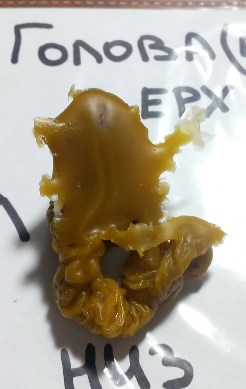 ОТЛИВКИ ВОСКОМ - IMG_20181004_001937.jpg