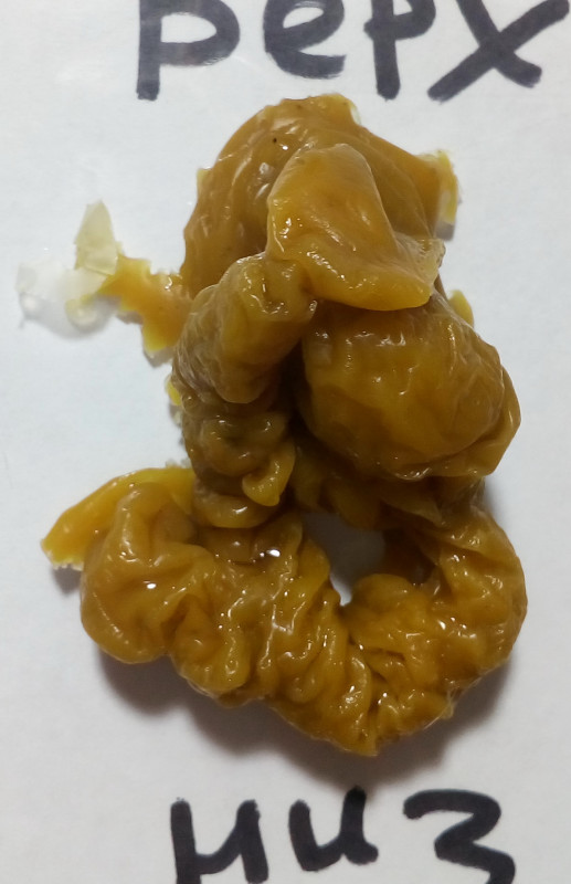 ОТЛИВКИ ВОСКОМ - IMG_20181004_002033.jpg