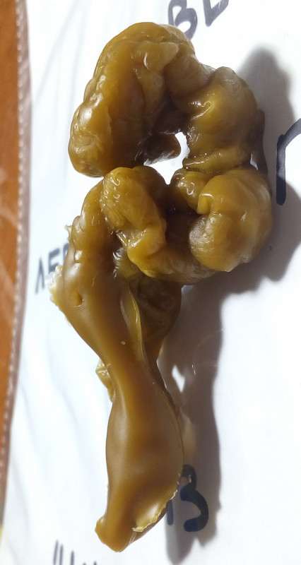 ОТЛИВКИ ВОСКОМ - IMG_20181004_002314.jpg