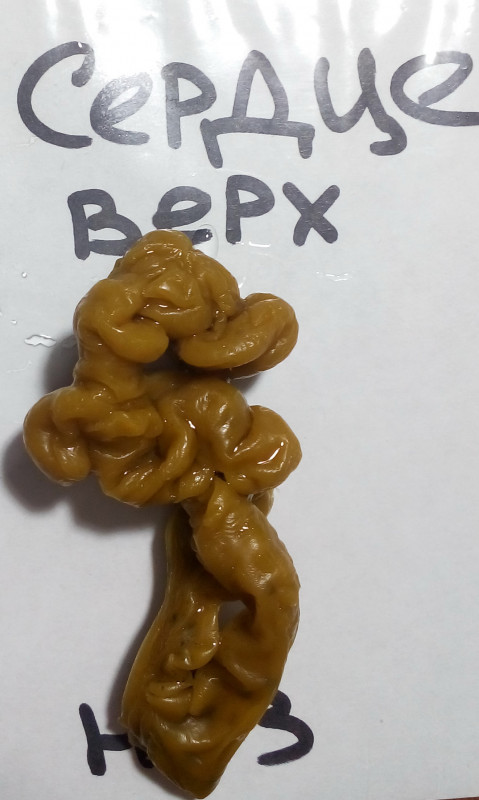 ОТЛИВКИ ВОСКОМ - IMG_20181004_002410.jpg