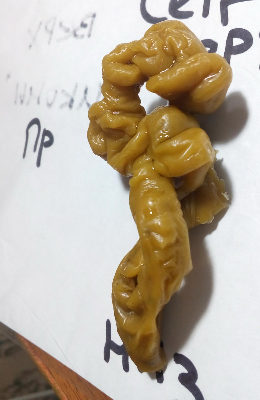 ОТЛИВКИ ВОСКОМ - IMG_20181004_002519.jpg