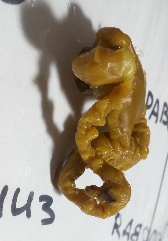 ОТЛИВКИ ВОСКОМ - IMG_20181004_002726.jpg