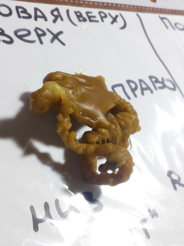 ОТЛИВКИ ВОСКОМ - IMG_20181004_002737.jpg