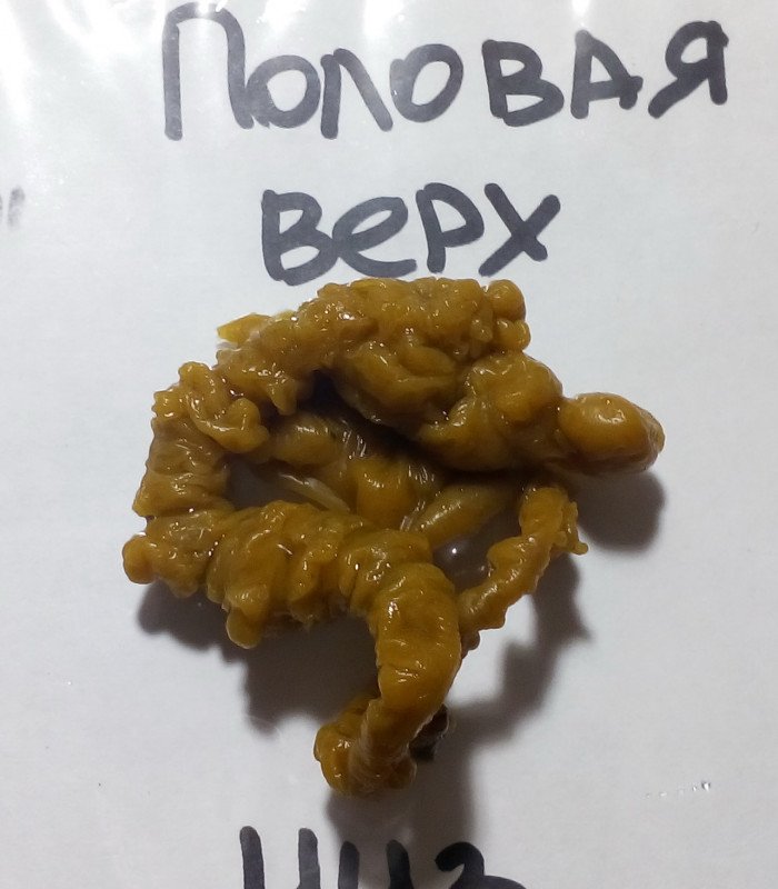 ОТЛИВКИ ВОСКОМ - IMG_20181004_002804.jpg