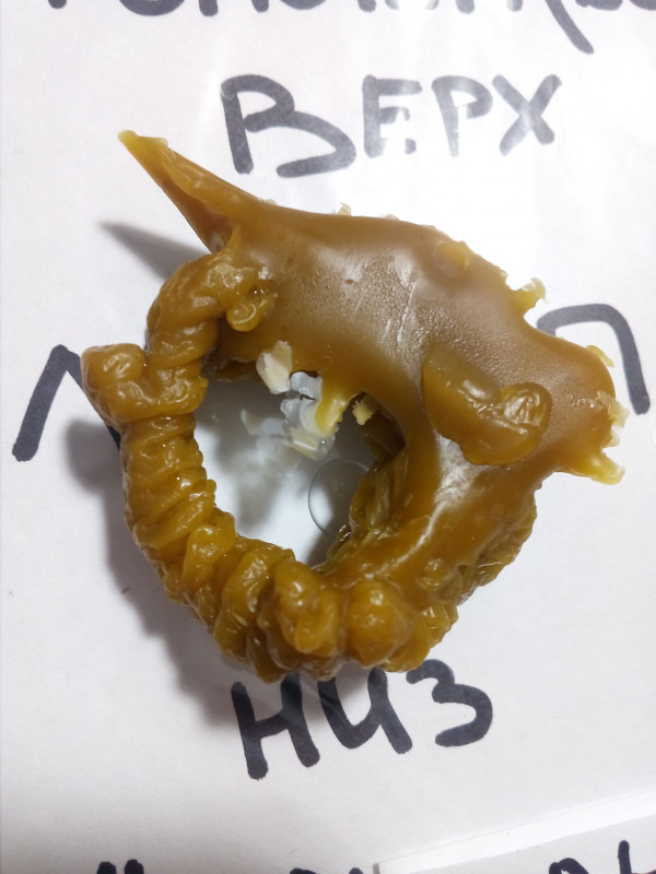 ОТЛИВКИ ВОСКОМ - IMG_20181004_010442.jpg