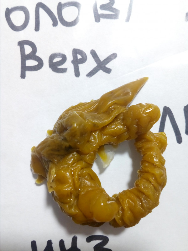 ОТЛИВКИ ВОСКОМ - IMG_20181004_011254.jpg