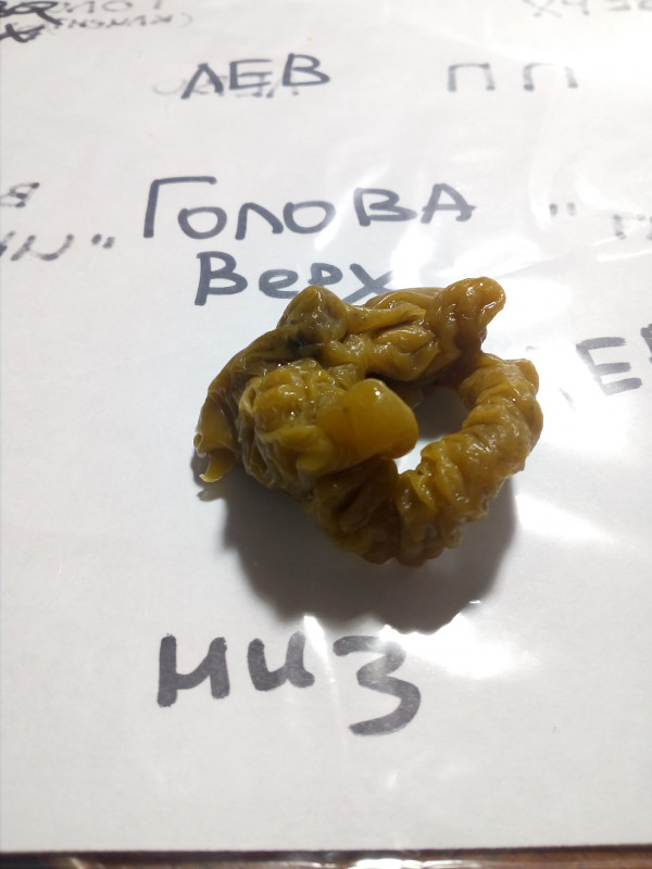 ОТЛИВКИ ВОСКОМ - IMG_20181004_011300.jpg