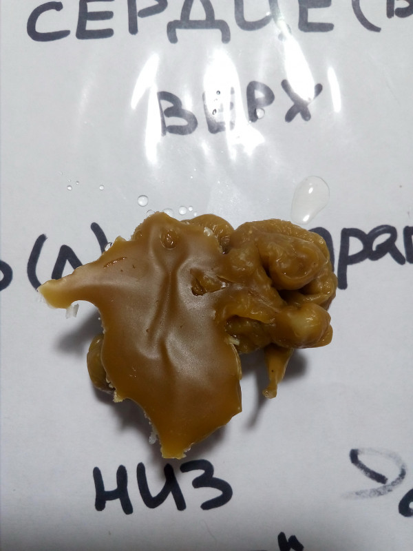 ОТЛИВКИ ВОСКОМ - IMG_20181004_011537.jpg