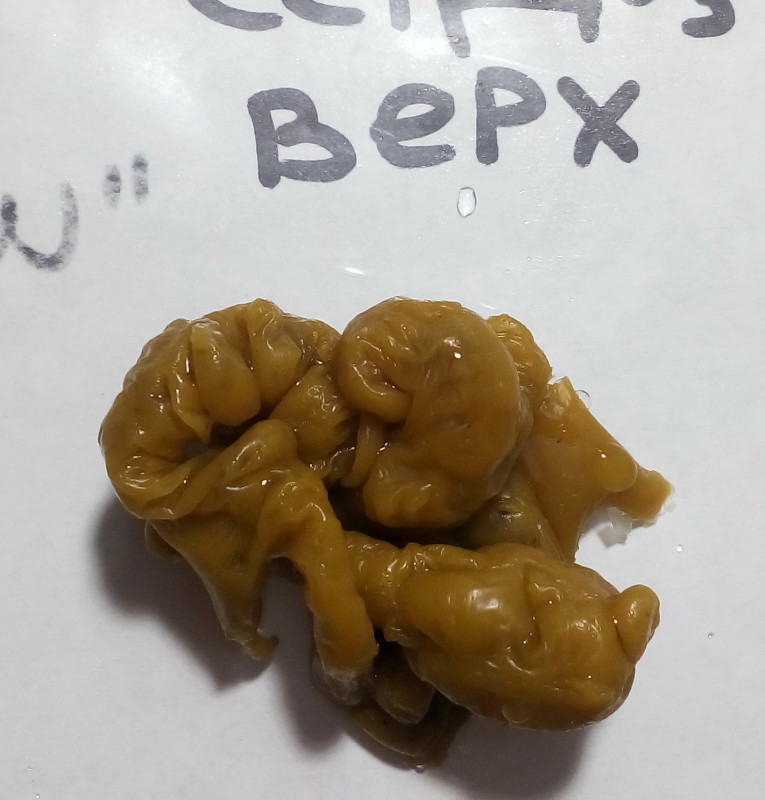 ОТЛИВКИ ВОСКОМ - IMG_20181004_011700.jpg