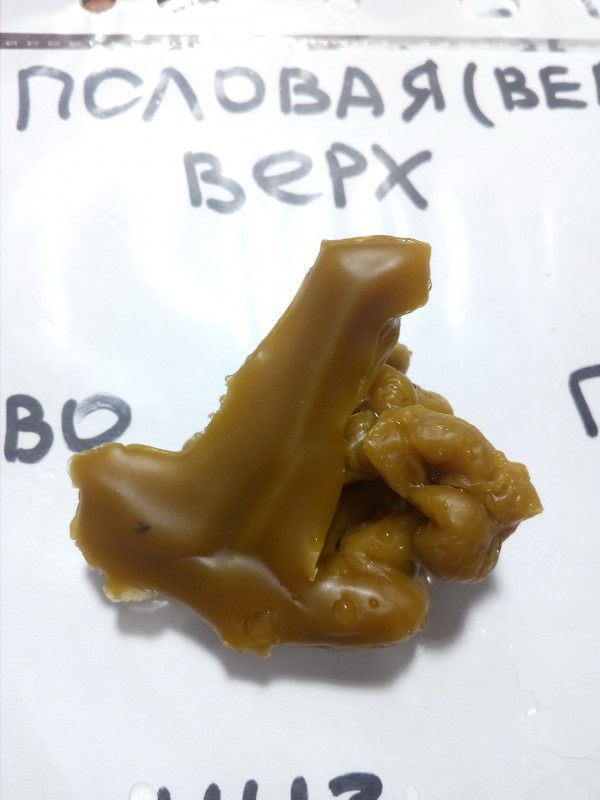 ОТЛИВКИ ВОСКОМ - IMG_20181004_012128.jpg