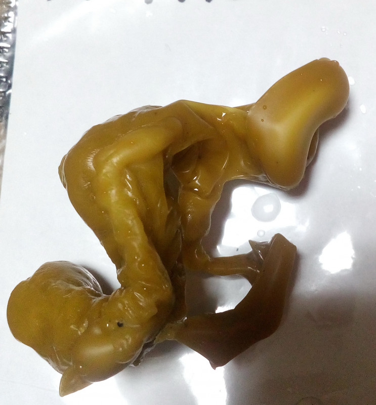 ОТЛИВКИ ВОСКОМ - IMG_20181006_223903.jpg