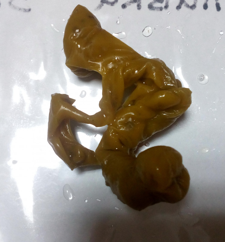 ОТЛИВКИ ВОСКОМ - IMG_20181006_223930.jpg