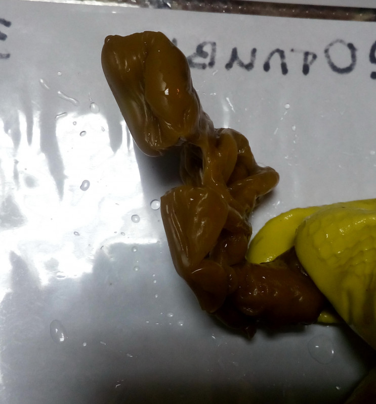 ОТЛИВКИ ВОСКОМ - IMG_20181006_223937.jpg