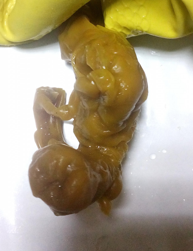 ОТЛИВКИ ВОСКОМ - IMG_20181006_223958.jpg