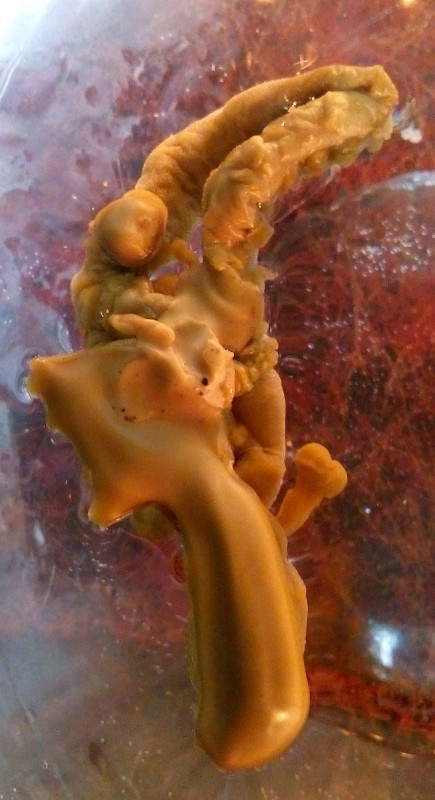 ОТЛИВКИ ВОСКОМ - IMG_20181006_232338.jpg