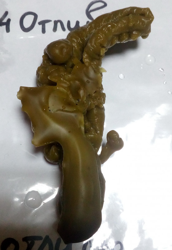 ОТЛИВКИ ВОСКОМ - IMG_20181006_232446.jpg