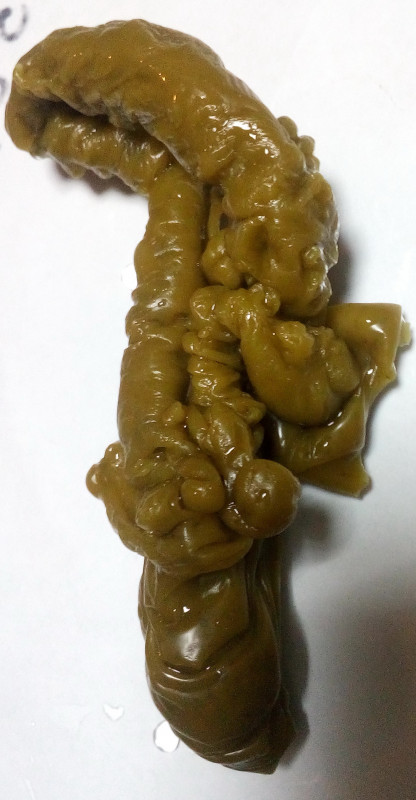 ОТЛИВКИ ВОСКОМ - IMG_20181006_232549.jpg