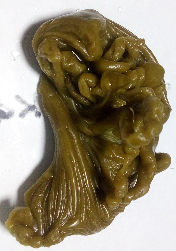 ОТЛИВКИ ВОСКОМ - IMG_20181006_234037.jpg