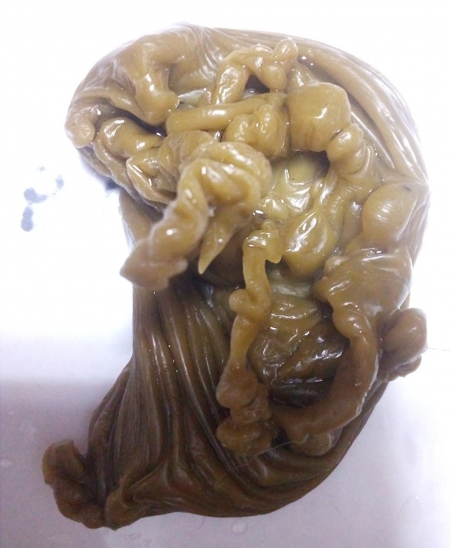 ОТЛИВКИ ВОСКОМ - IMG_20181006_234137.jpg