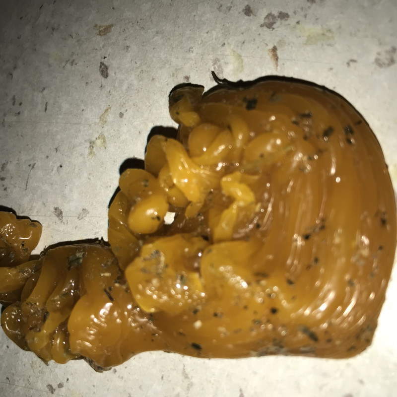 ОТЛИВКИ ВОСКОМ - 22C2810A-69CE-47CD-8859-B49BDBFAE272.jpeg