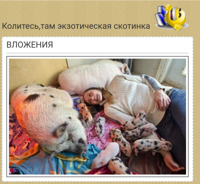 ~Что скрывает черный квадрат. Ответ на 8й странице~ - IMG_20181101_203159.png