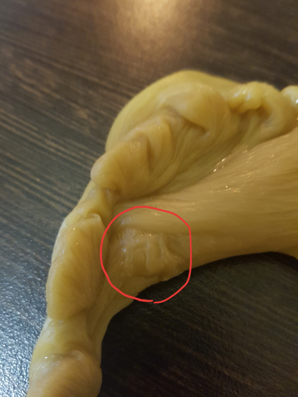 ОТЛИВКИ ВОСКОМ - 20181105_164502.jpg